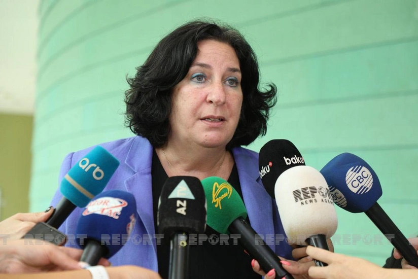 Shaffer: Armenians used resources of liberated Azerbaijani lands, causing huge destruction to nature