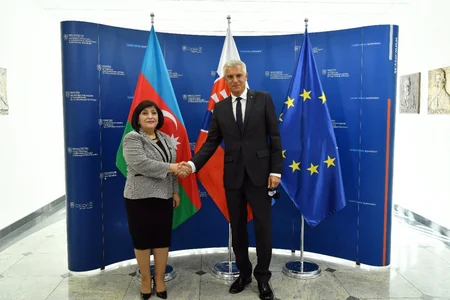 Azerbaijani speaker meets with Slovakian FM 