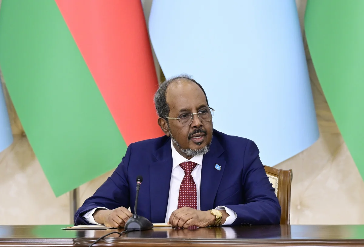Somali Prezidenti: Azərbaycan bizim ölkəyə Afrika bazarlarının qapısı kimi baxa bilər