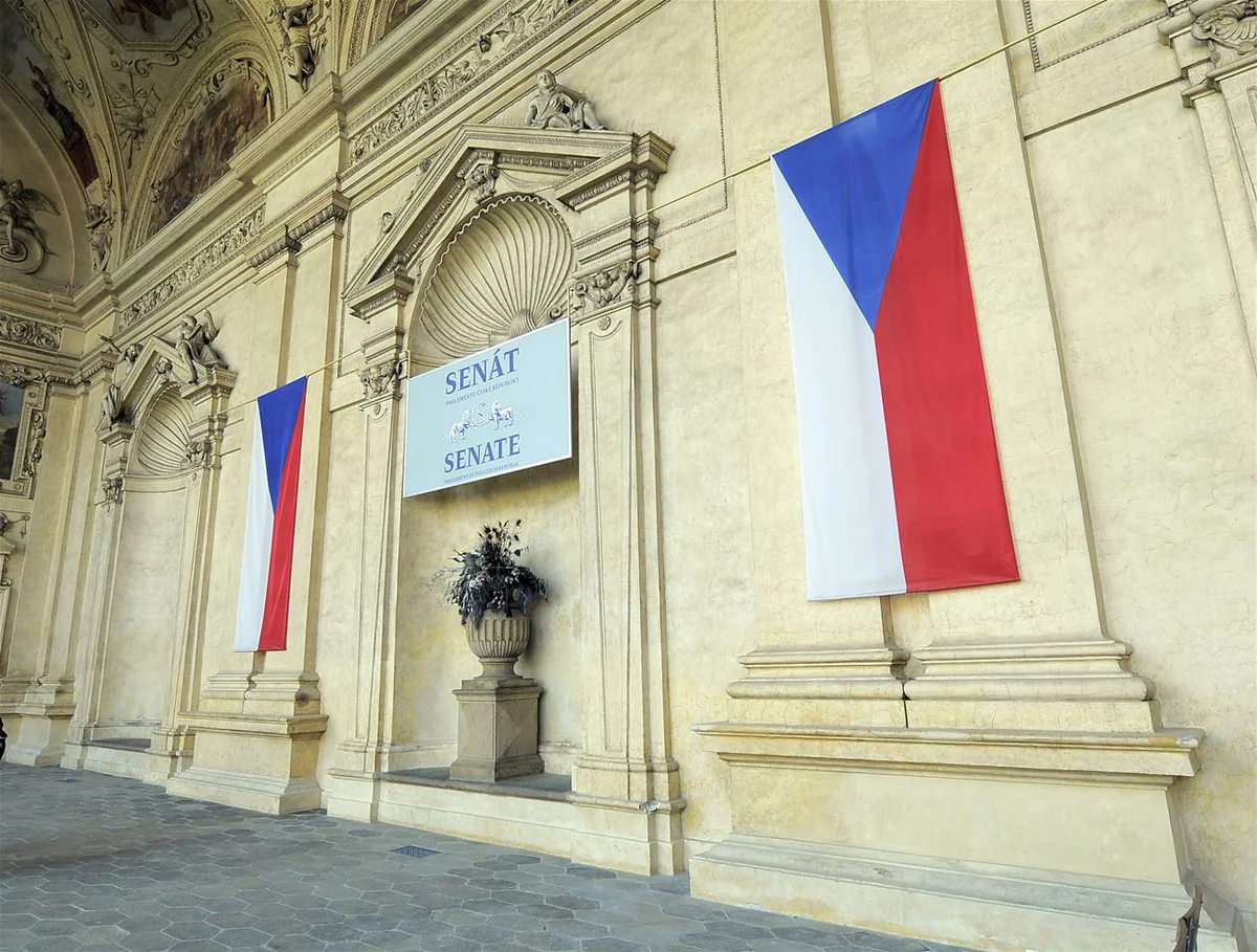 Рабочая группа осудила резолюцию Сената Чехии о ситуации в регионе