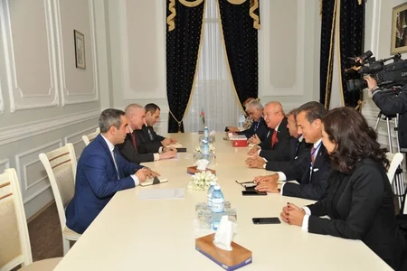 ​MSK sədri Məzahir Pənahov bir sıra görüşlər keçirib