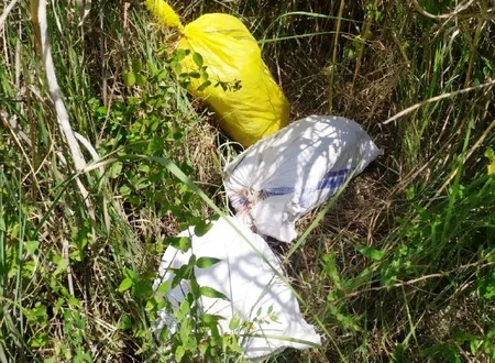 Avqustda Azərbaycan sərhədini pоzan 53 nəfər saxlanılıb