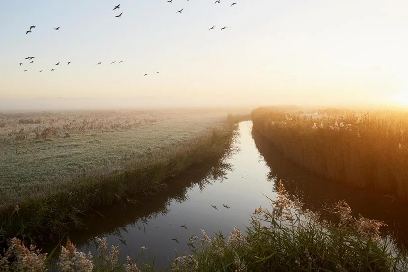 Qazaxıstanda 11 nəfər çayda batıb, 8-nin meyiti tapılıb