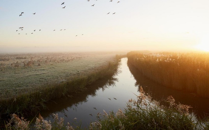 11 people drowned in Syrdarya River in Kazakhstan 