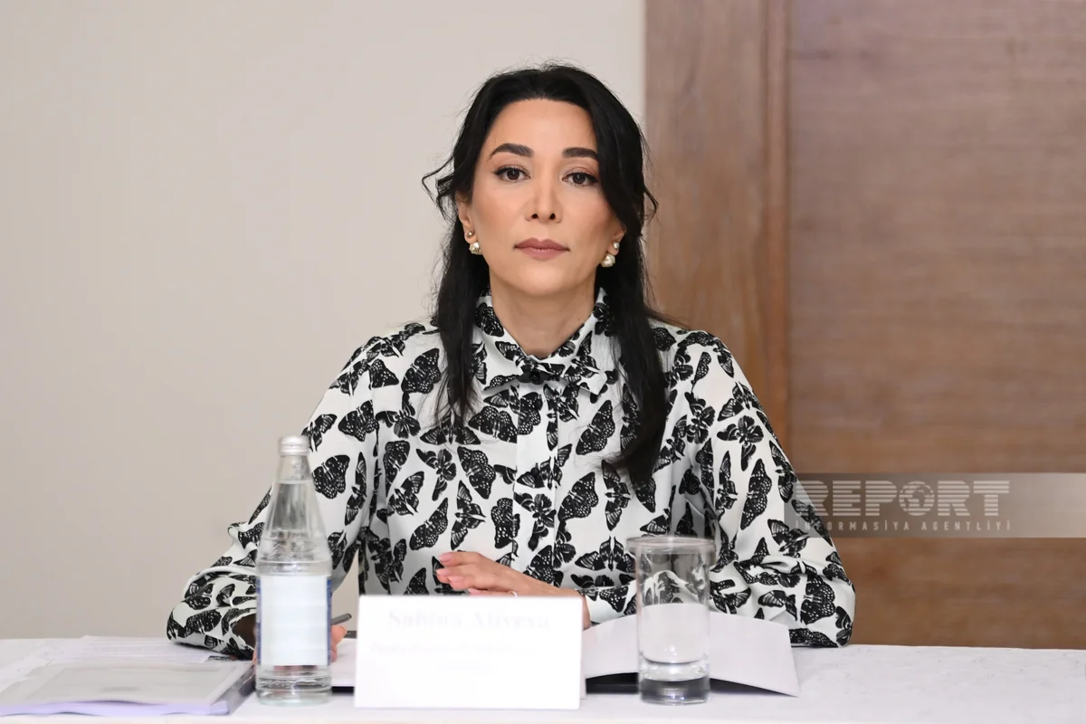 Ombudsman BMT rəsmisini antiterror tədbirləri barədə məlumatlandırıb