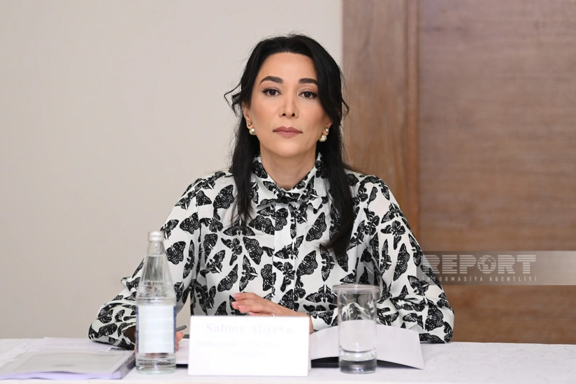 Azerbaijani Ombudsman responds to statement of Commissioner for Human Rights of Council of Europe