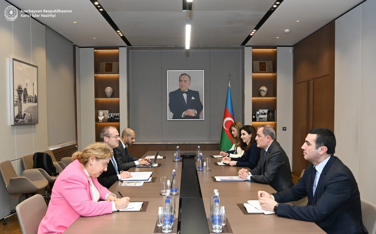 Azerbaijan and WHO mull joint healthcare projects