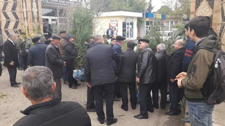 Respublika üzrə ümumilikdə 120 minə yaxın pulsuz ağac tingi paylanılıb