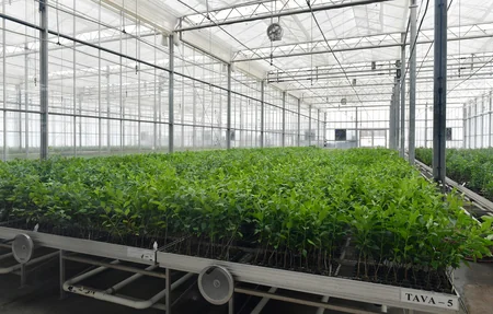 İlham Əliyev və Mehriban Əliyeva “Grand-Agro İnvitro” MMC-nin müəssisəsi ilə tanış olub