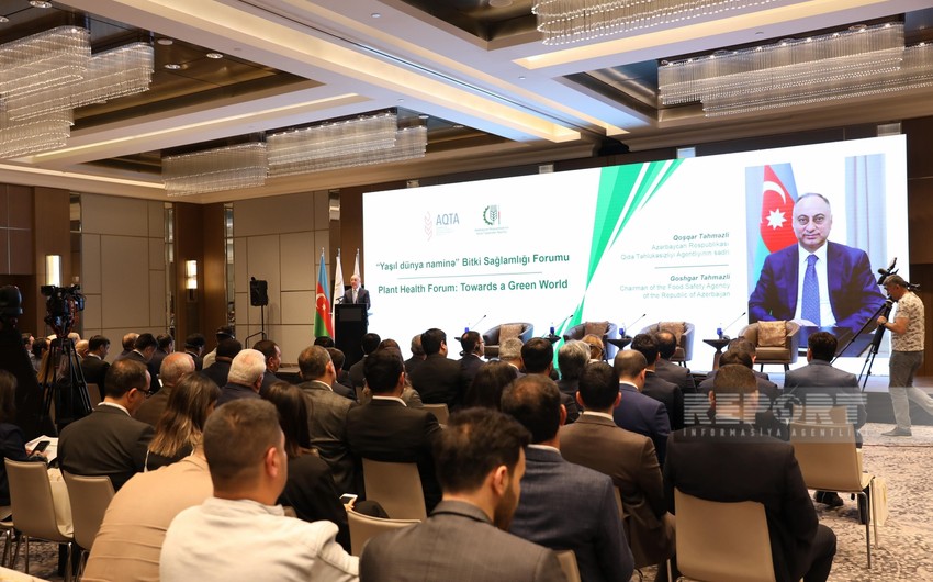 Bakıda “Yaşıl dünya naminə” Bitki Sağlamlığı Forumu keçirilir