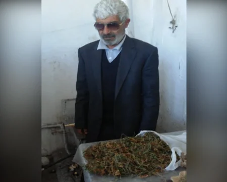 Nardaranda narkotik tərkibli bitkilərin kultivasiyası ilə məşğul olan şəxs tutulub