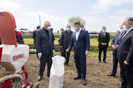 Azərbaycanda  pambıq  səpininə başlanılıb