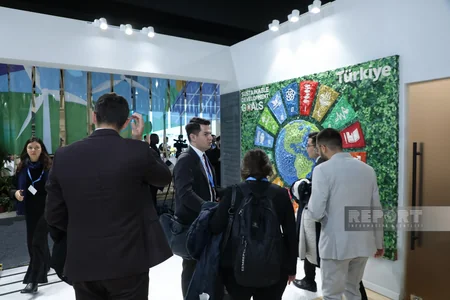 Джемре Далкылыч: Для нас большая честь представлять Турцию на COP29 в братском Азербайджане