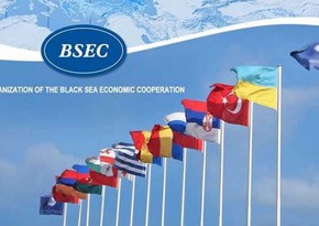 Спикер парламента Болгарии: Cтраны ОЧЭС должны сосредоточиться на снижении выбросов