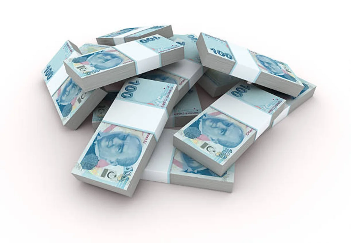 Türkiyə bu il bərpa olunan enerjiyə sərmayəni 37% artırıb