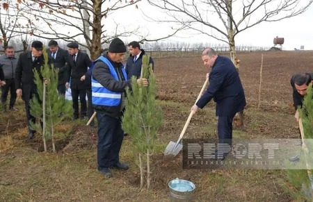 “Yaşıl dünya naminə həmrəylik ili” çərçivəsində Oğuzda 10 300 ədəd ağac əkilib