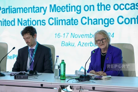 Promoting fair approach to combating climate change discussed at parliamentary meeting in Baku