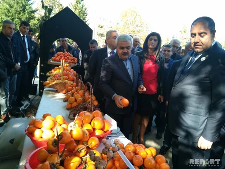 Balakan district for first time hosts International Date Festival - PHOTO