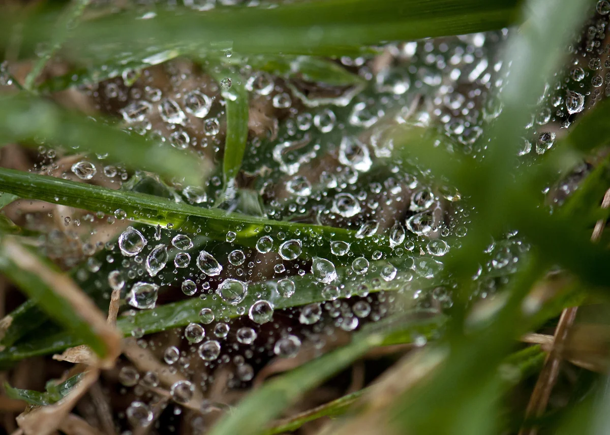 Weather forecast for those traveling on holidays announced