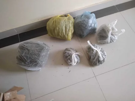 Şəmkirdə evdən narkotik maddə tapılıb
