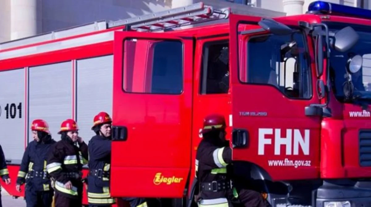 Abşeronda baş vermiş yanğın zamanı 10 baş iribuynuzlu heyvan tələf olub