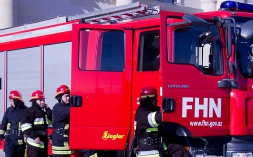 Abşeronda baş vermiş yanğın zamanı 10 baş iribuynuzlu heyvan tələf olub
