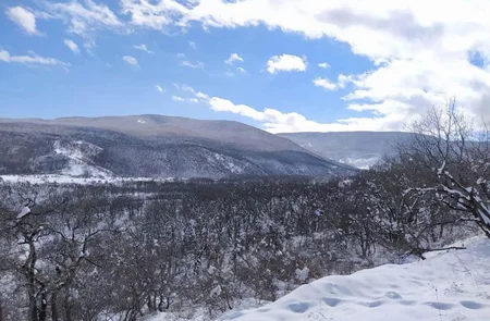 Azərbaycan parklarının qış görüntüləri - FOTOREPORTAJ