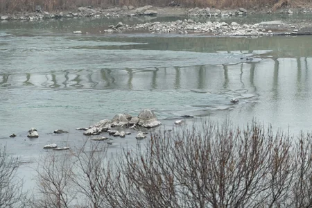 Aqrar sahədə müasir suvarma sistemlərindən istifadə genişləndiriləcək