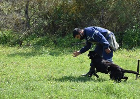 Türkiyə Milli Müdafiə Nazirliyi FHN-ə minaaxtaran itlər hədiyyə edib