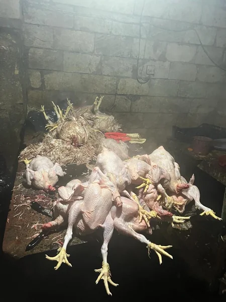 Masallıda toyuq kəsim sexinin işi məhdudlaşdırılıb