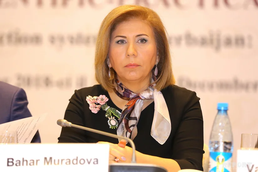 Milli Məclisin vitse-spikeri: Əmək və Əhalinin Sosial Müdafiəsi Nazirliyinin gördüyü tədbirlərin çox müsbət nəticələri olub