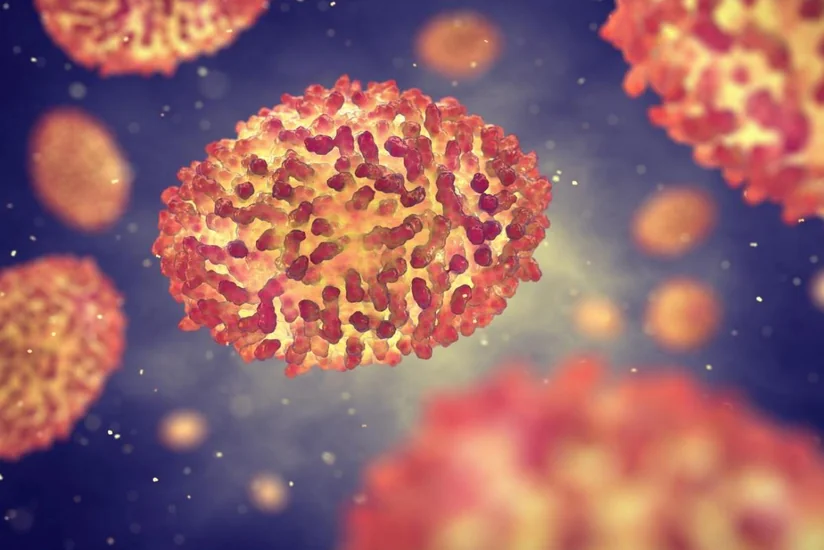 В ВОЗ поступили сведения о более 1,6 тыс. случаях оспы обезьян у человека из 39 стран