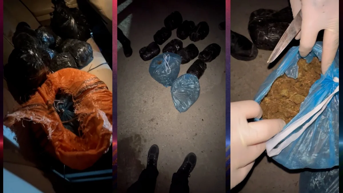 Baş idarə əməliyyat keçirib, 20 kq narkotik aşkarlanıb