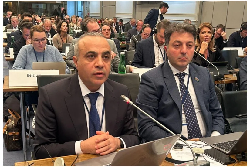 Azay Quliyev: Fransanın siyasəti Cənubi Qafqazın təhlükəsizliyinə xələl gətirir