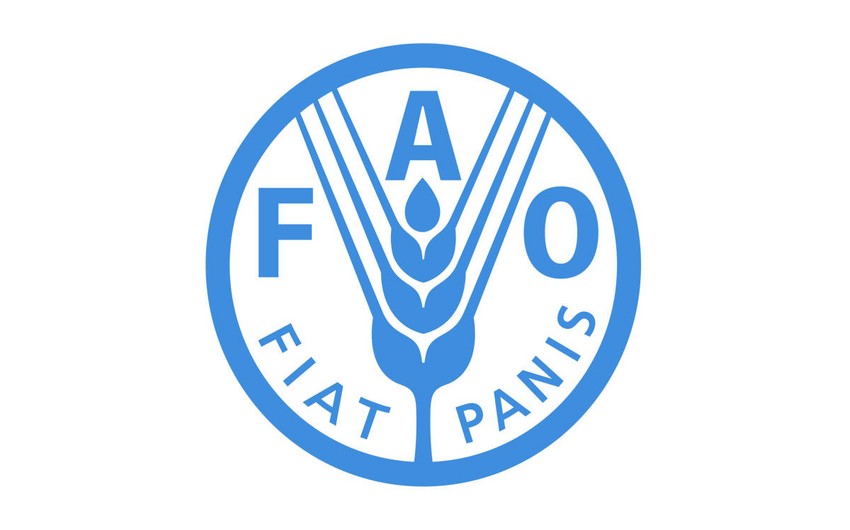 Azərbaycan FAO ilə əməkdaşlığını genişləndirir
