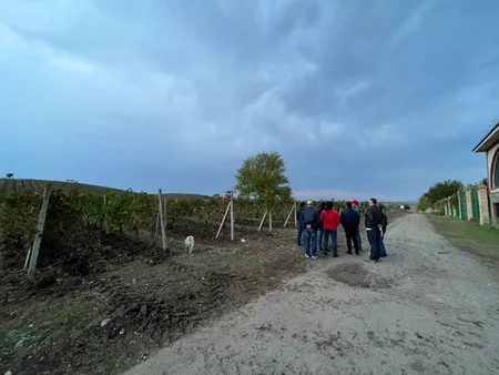 İsmayıllı və Şamaxı rayonlarının turizm potensialı araşdırılır