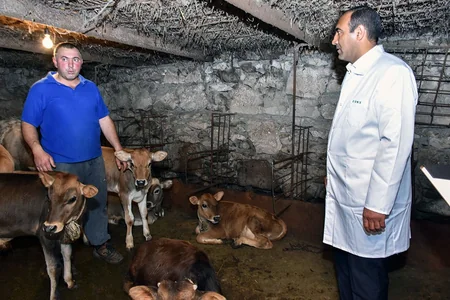 Sərhəd kəndlərində heyvanların peyvəndləmə tədbirlərinə nəzarət üçün baytarlıq baxışı keçirilib