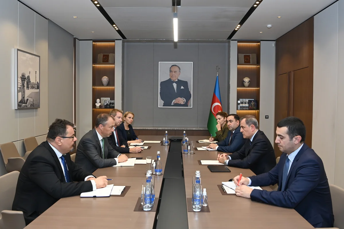 Jeyhun Bayramov informs EU special representative about Armenia's provocations