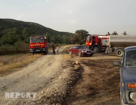 Qubada dağlıq ərazidə baş verən yanğın lokallaşdırılıb - YENİLƏNİB - FOTO