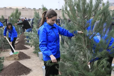 Zəfər Günü ilə bağlı Bakıda ağacəkmə aksiyası keçirilib