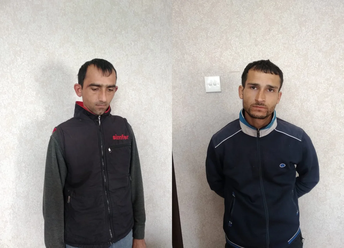 Şirvanda qardaşlar 10 min manatlıq iribuynuzlu heyvanlar oğurlayıb