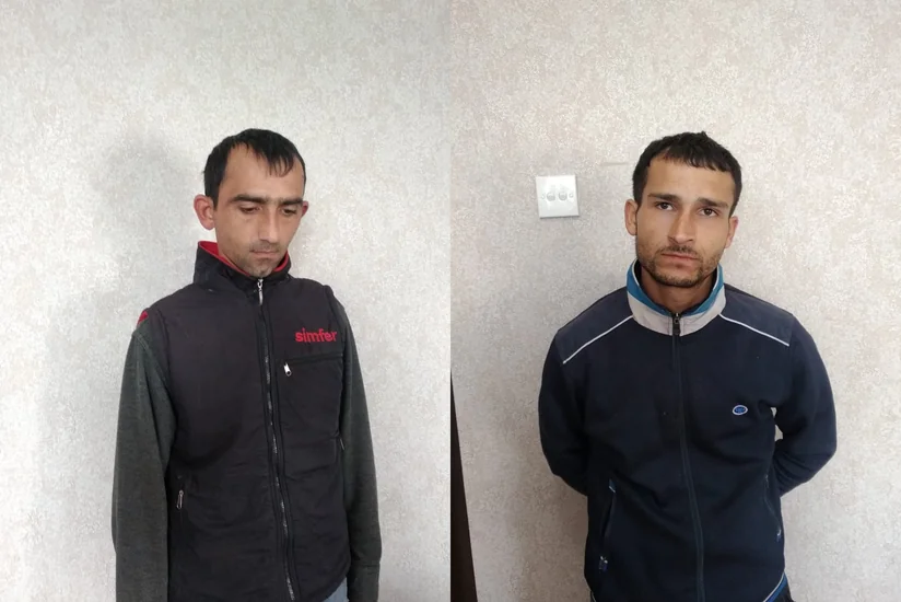 Şirvanda qardaşlar 10 min manatlıq iribuynuzlu heyvanlar oğurlayıb