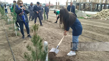 Heydər Əliyevin 100 illik yubileyi ilə əlaqədar Ağdamda ağacəkmə aksiyası keçirilib