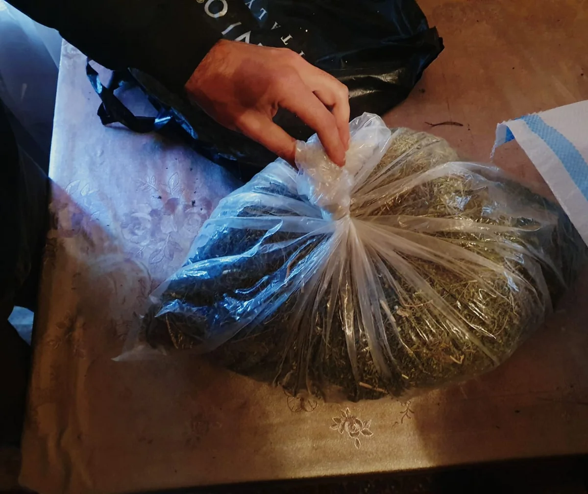 Bərdə sakininin evində 3 kiloqrama yaxın qurudulmuş marixuana aşkarlanıb