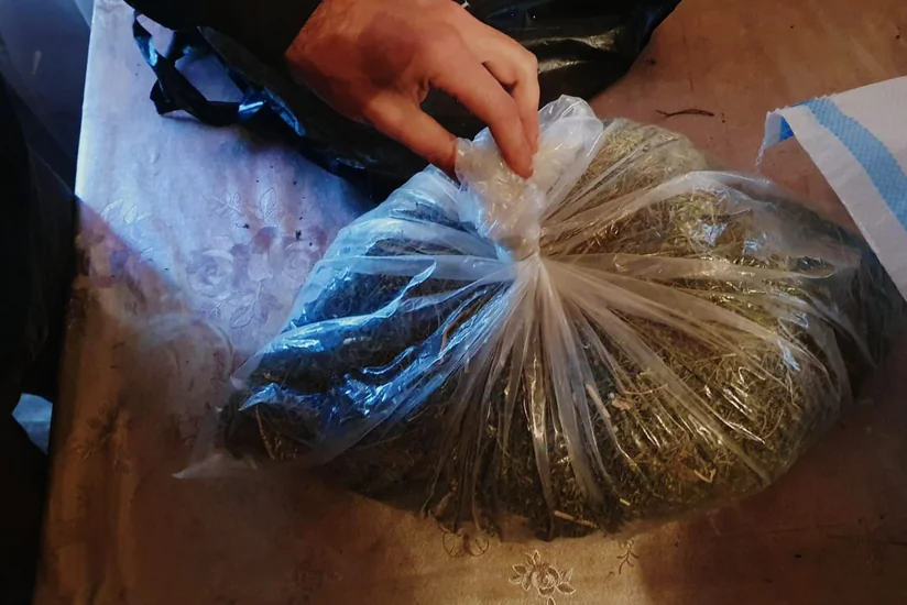 У жителя Барды изъяли крупную партию марихуаны