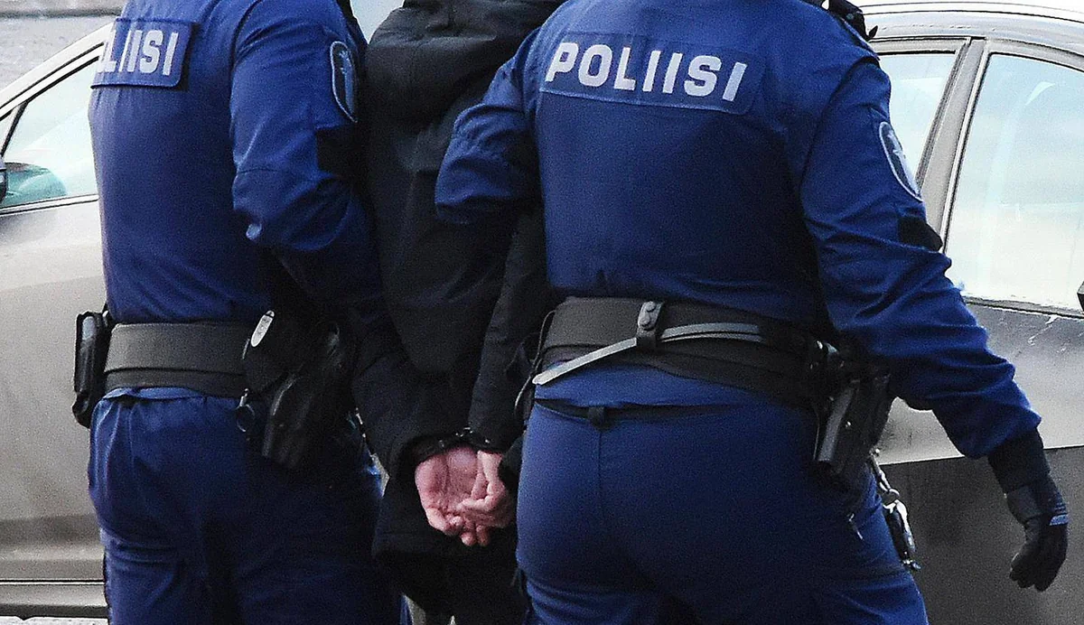 Полиция Хельсинки задержала 68 человек в День независимости Финляндии