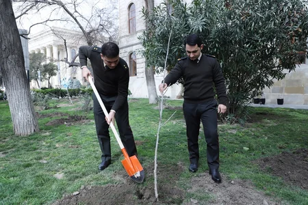 Dövlət Xidməti növbəti dəfə ağacəkmə aksiyası keçirdi