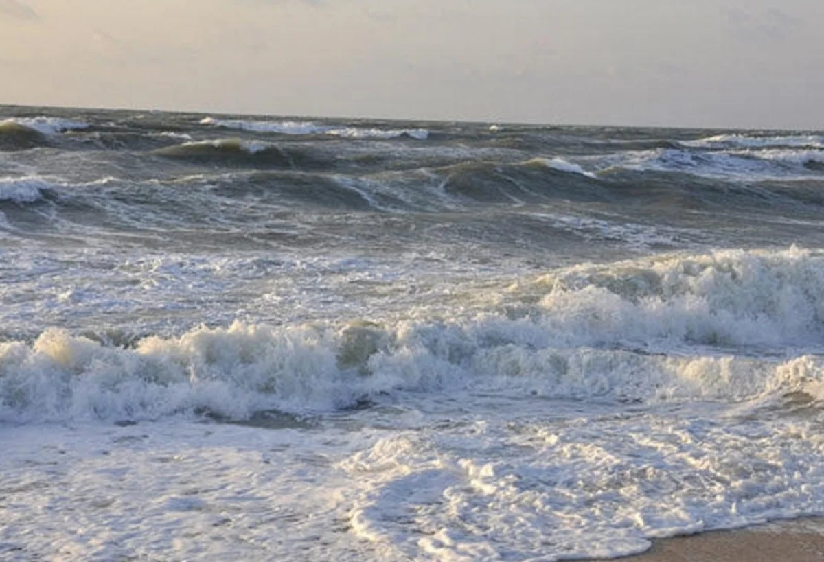 Eight companies in Azerbaijan interested in seawater desalination project