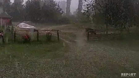 Kürdəmirin bir sıra kəndlərinə dolu düşüb, meyvə ağaclarına ziyan dəyib - VİDEO
