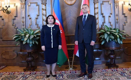 Milli Məclisin Sədrindən mina xəritələri ilə bağlı açıqlama